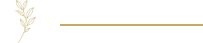 Layer